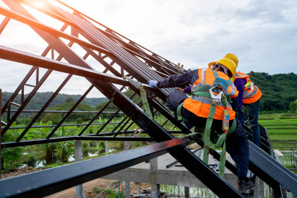 Best Residential Roof Replacement  in Metlatla, AK