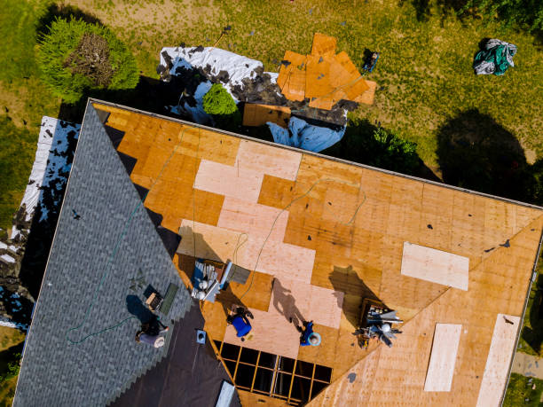 Best Flat Roof Repair Services  in Metlatla, AK