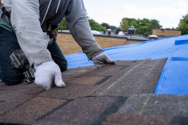 Best Tile Roofing Contractor  in Metlatla, AK