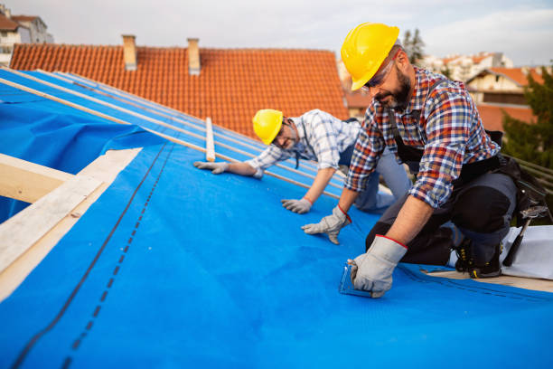 Best Roof Gutter Cleaning  in Metlatla, AK
